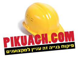 פיקוח בניה, מפקח בניה
